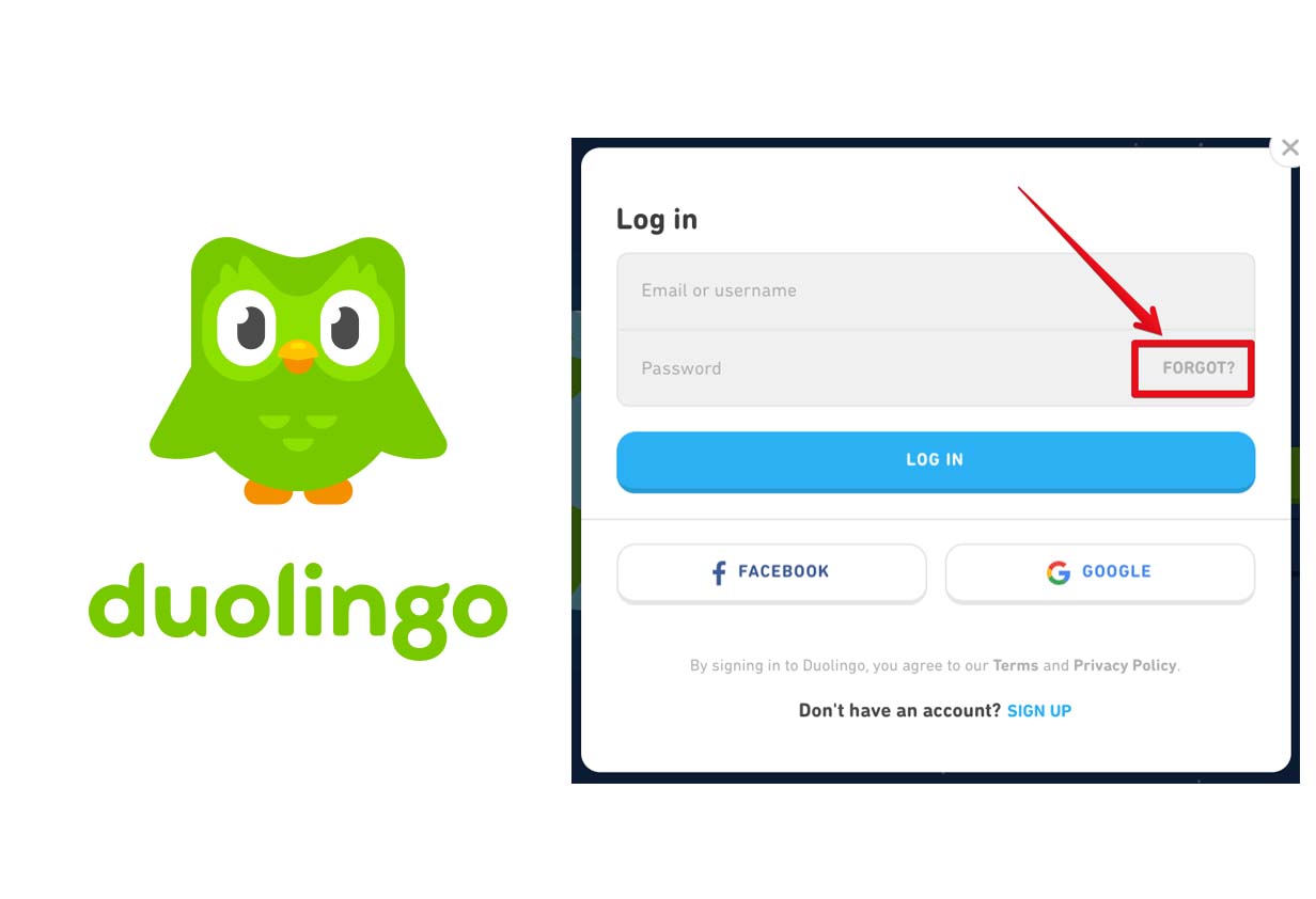 Duolingo Login - Duolingo Sign In With Google