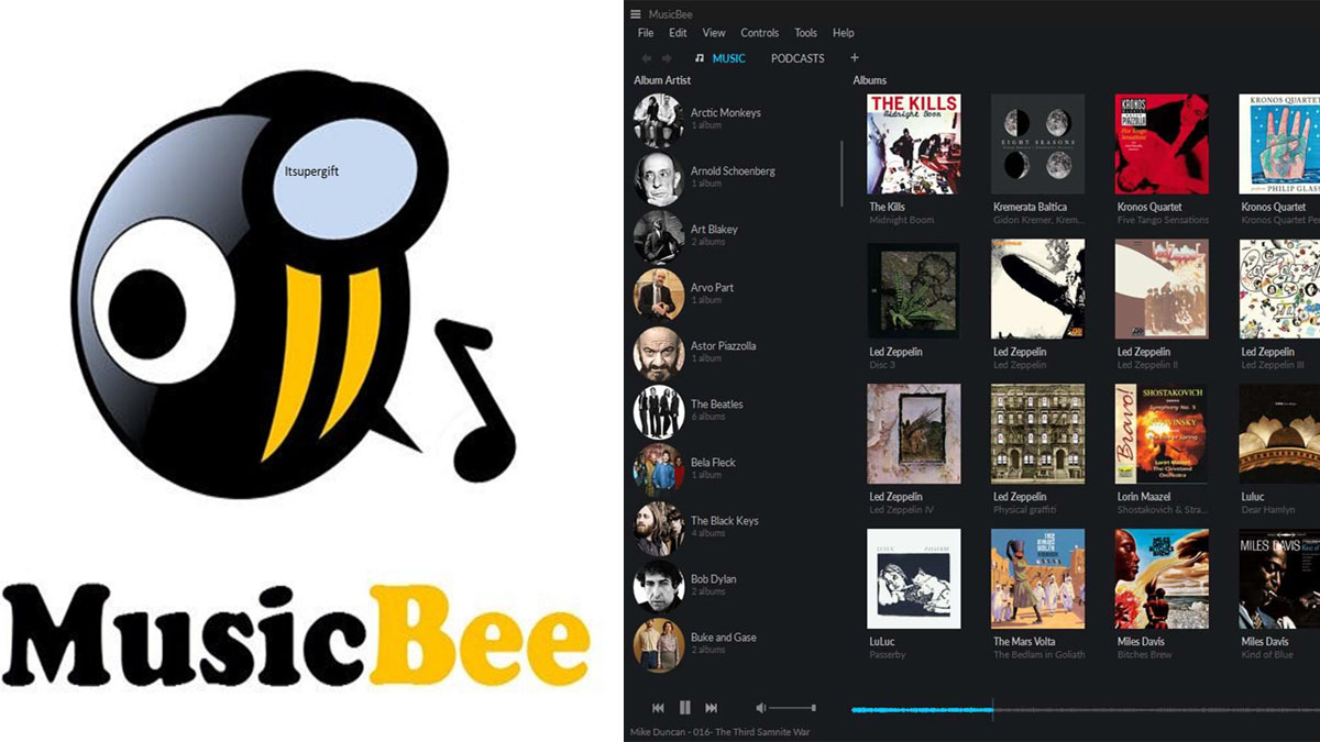 MusicBee - Ultimate Music Manager and Player