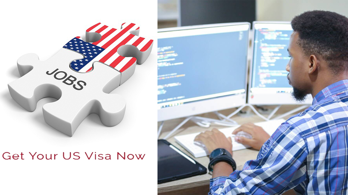 Senior Developer Jobs Java in USA With Visa Sponsorship