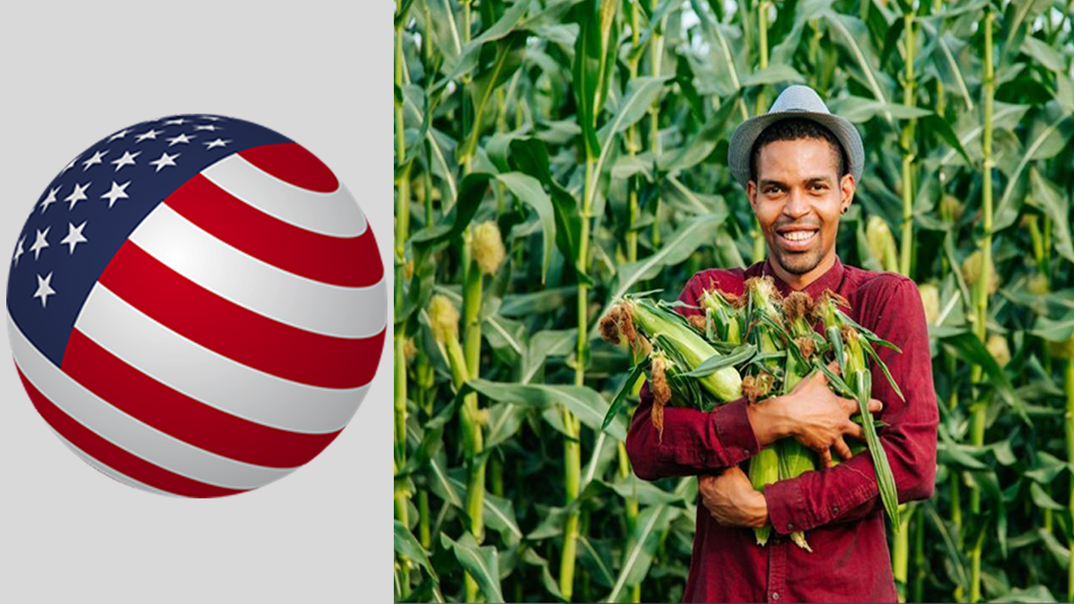 Farm Jobs in USA for Foreigners - Apply Now