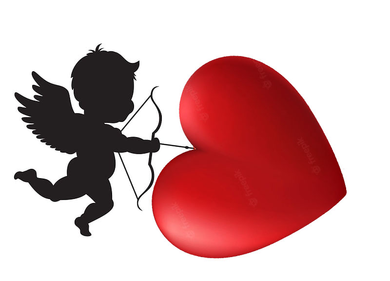 Black Cupid - Meet and Chat with Singles Online