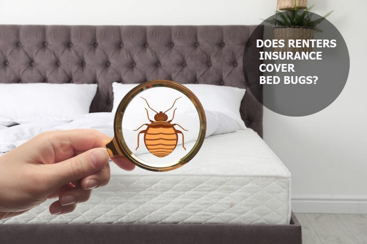 Does Renters Insurance Cover Bed Bugs?