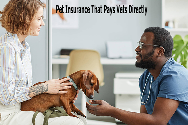 Pet Insurance That Pays Vets Directly