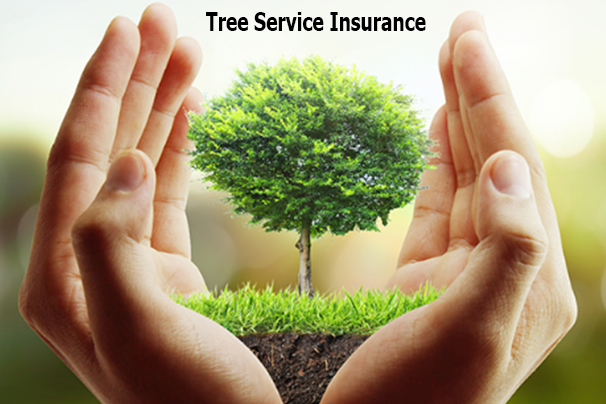 Tree Service Insurance