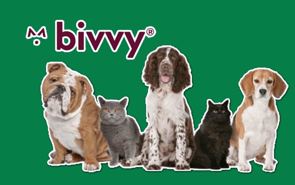 Bivvy Pet Insurance