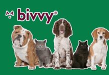 Bivvy Pet Insurance – What You Should Know Bivvy Pet Insurance