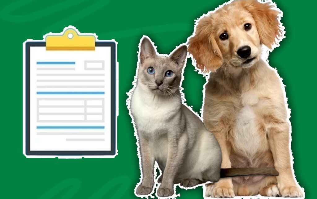 How to File a Pet Insurance Claim