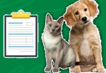 How to File a Pet Insurance Claim How to File a Pet Insurance Claim