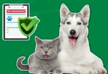 Life Insurance for Pets Life Insurance for Pets