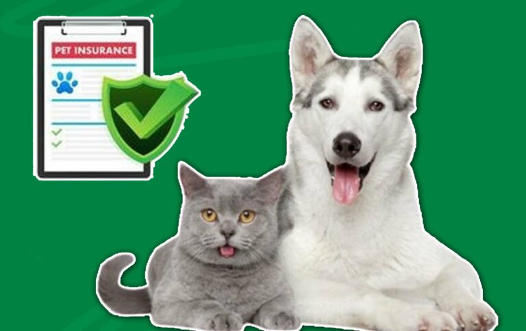 Life Insurance for Pets