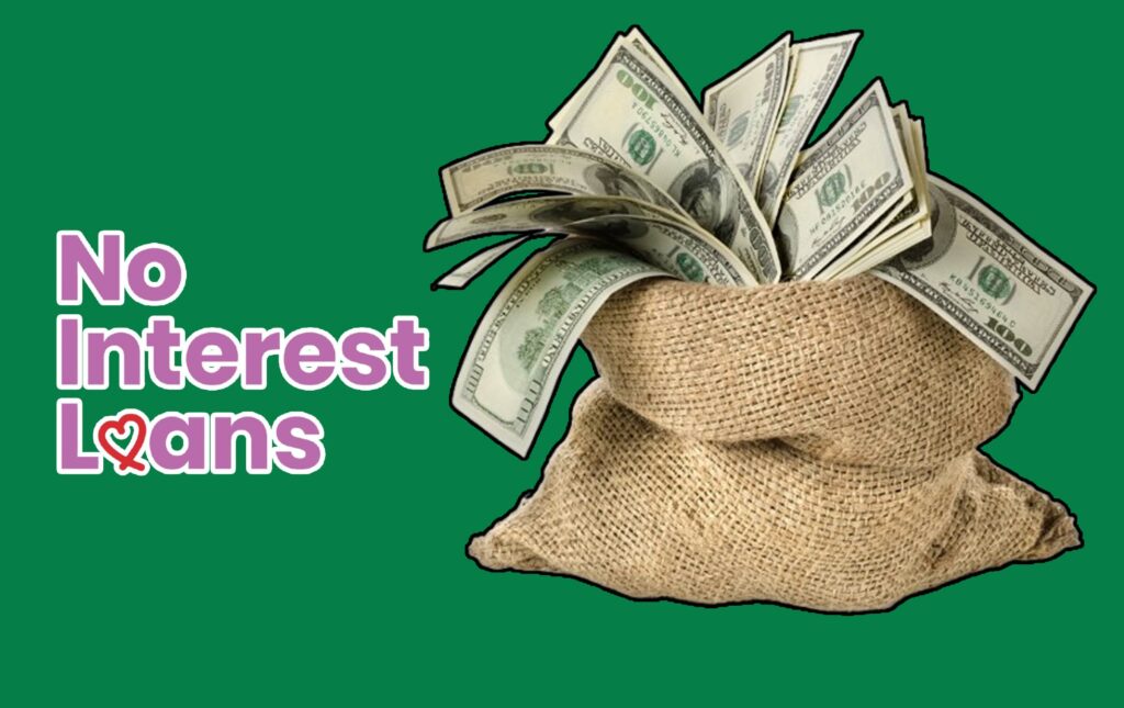 What Are Zero-Interest Loans, And How Do They Work?