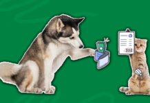 How Pet Insurance Premiums Are Calculated How Pet Insurance Premiums Are Calculated