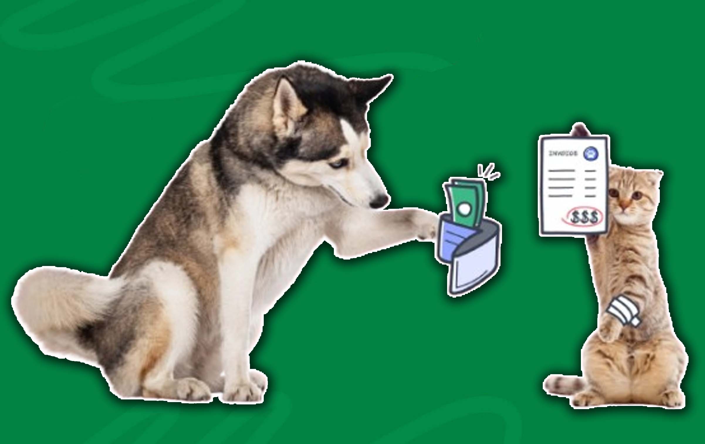How Pet Insurance Premiums Are Calculated