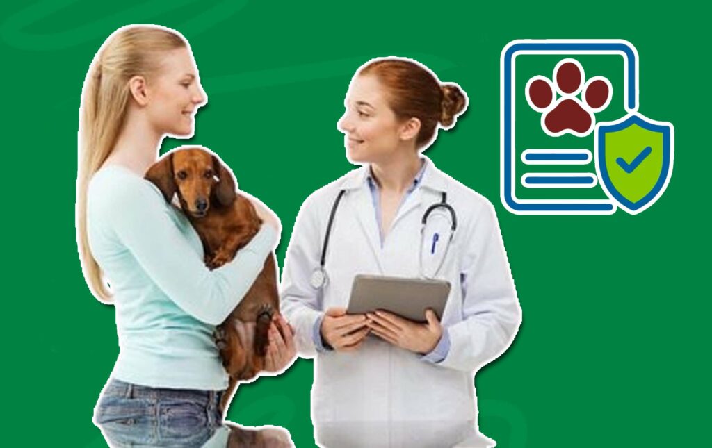 Does Pet Insurance Cover Cancer Treatment