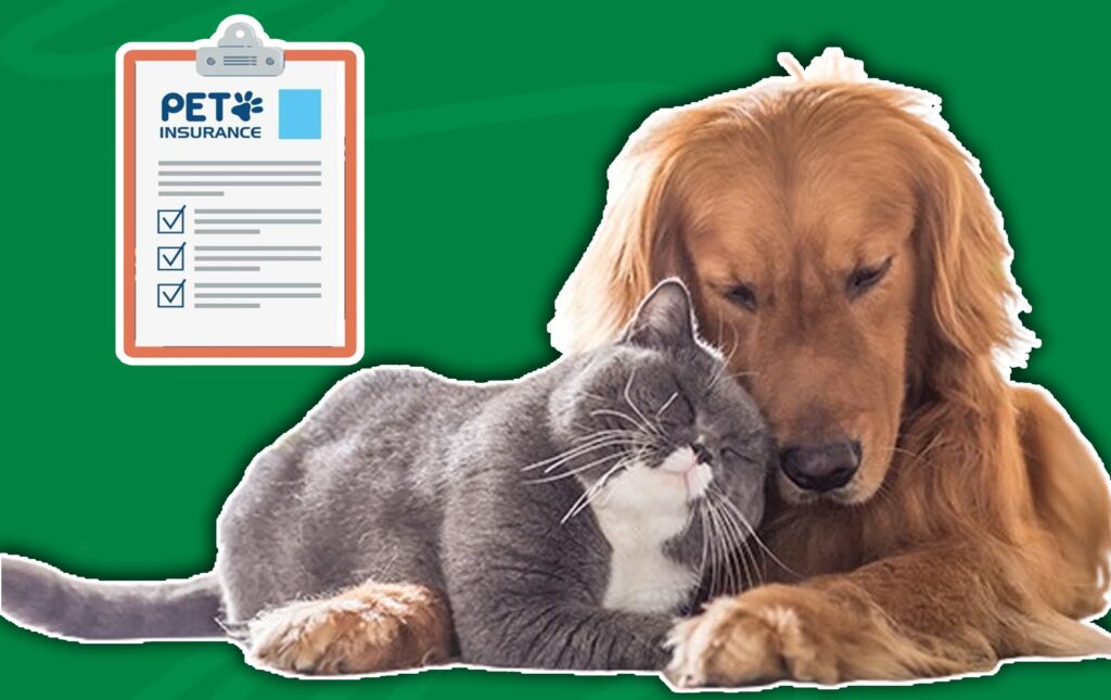 Does Pet Insurance Cover Euthanasia