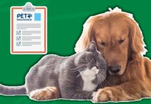 Does Pet Insurance Cover Euthanasia Does Pet Insurance Cover Euthanasia