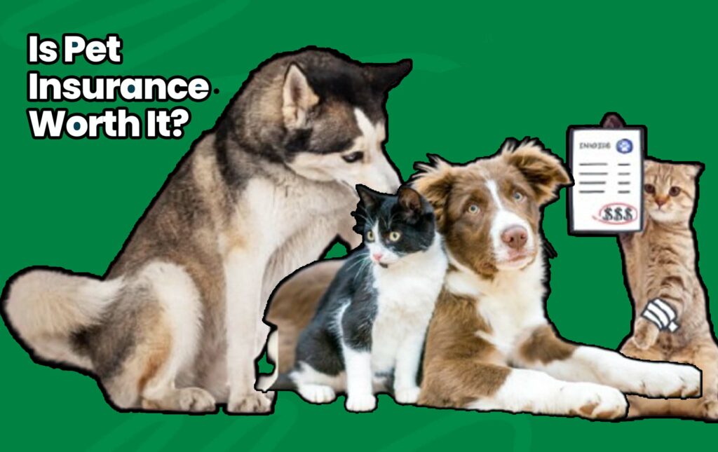 Is Pet Insurance Worth It