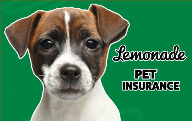 Lemonade Pet Insurance