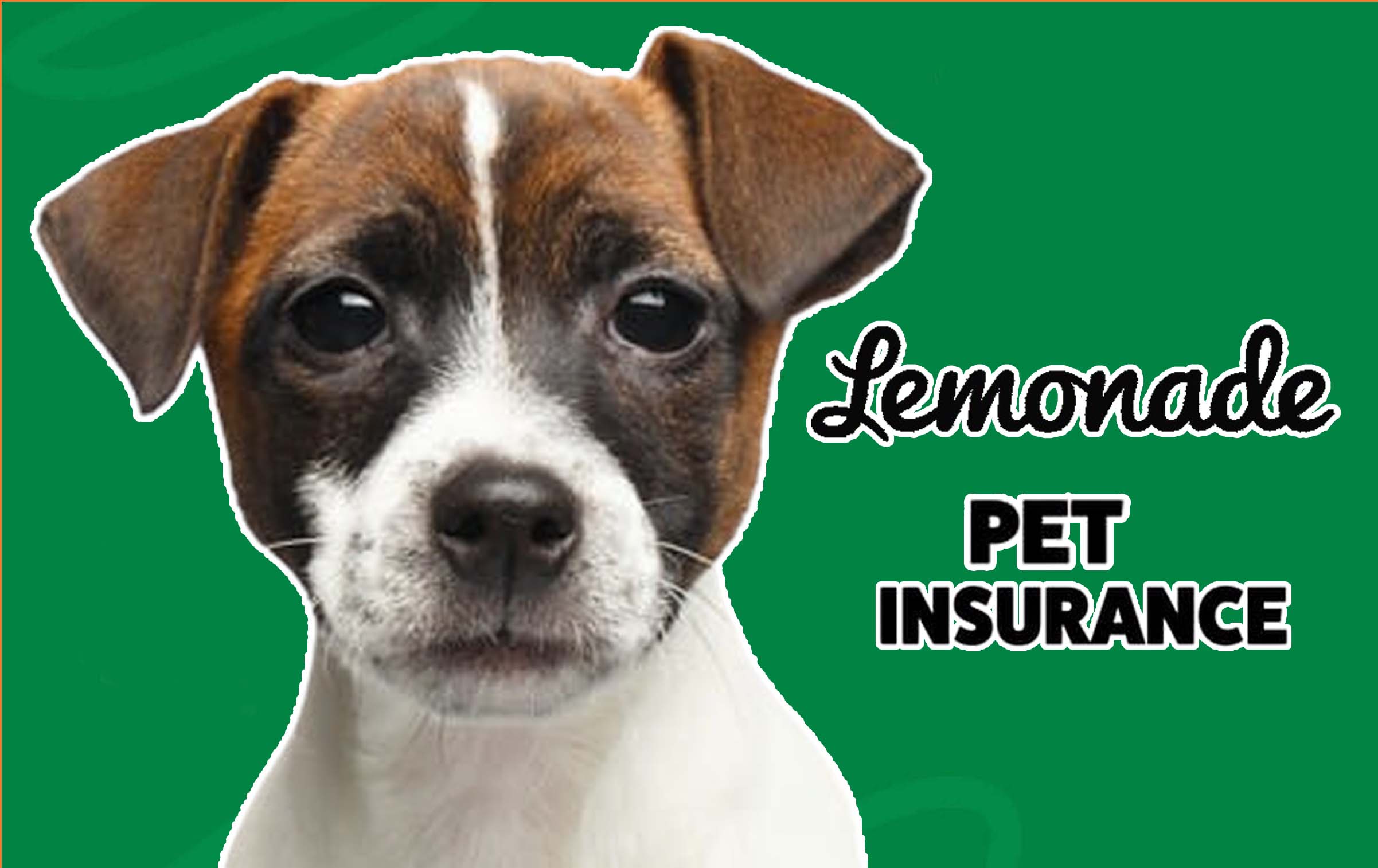 Lemonade Pet Insurance