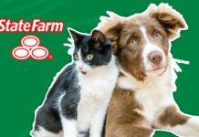 State Farm Pet Insurance State Farm Pet Insurance