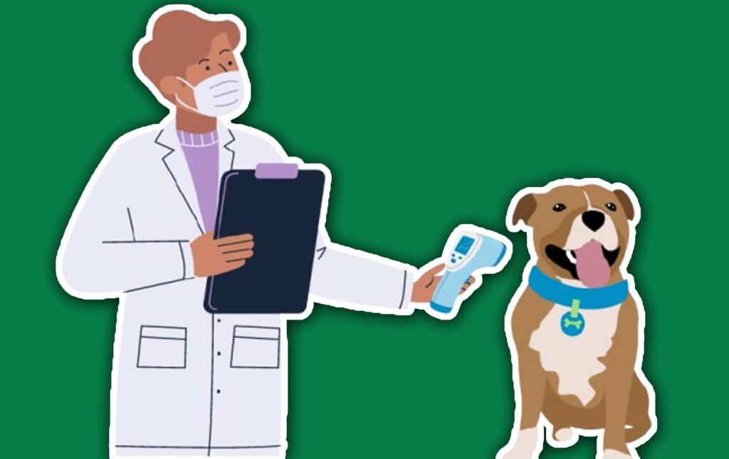 Does Pet Insurance Cover Microchipping?
