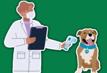 Does Pet Insurance Cover Microchipping? Does Pet Insurance Cover Microchipping?