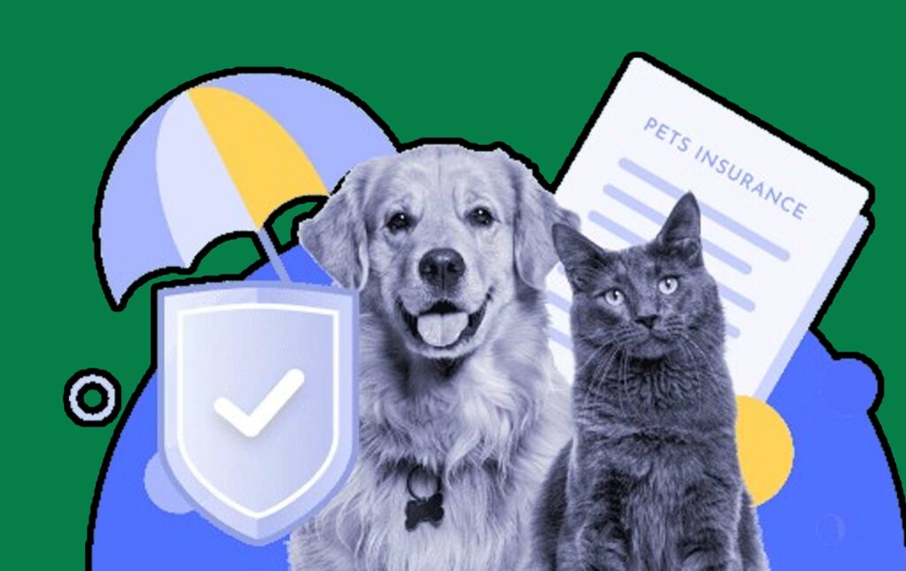 Pet Insurance vs. Pet Savings Accounts