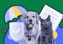 Pet Insurance vs. Pet Savings Accounts Pet Insurance vs. Pet Savings Accounts