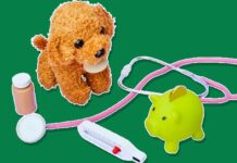 What is a Pet Insurance Deductible? What is a Pet Insurance Deductible?