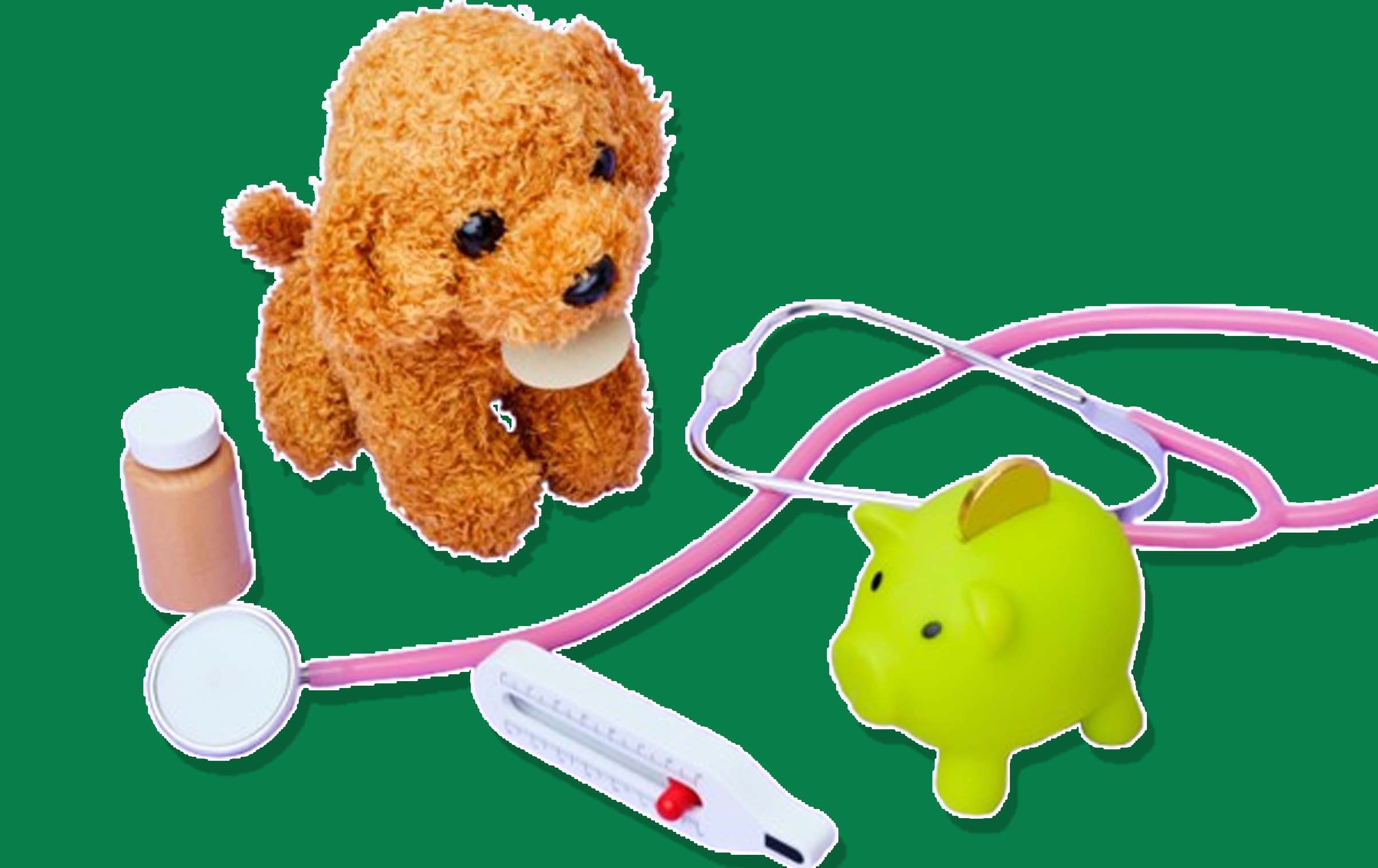 What is a Pet Insurance Deductible?